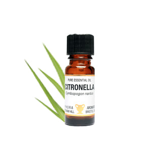 Amphora Aromatics Citronella Essential Oil