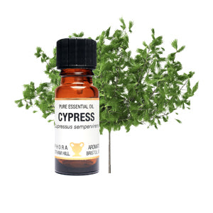 Amphora Aromatics Cypress Essential Oil