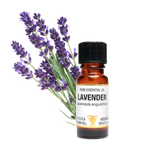 Amphora Aromatics Lavender Essential Oil