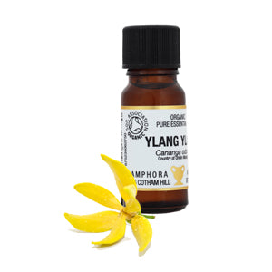 Amphora Aromatics Ylang Ylang Essential Oil