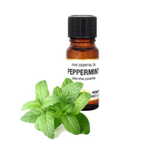 Amphora Aromatics Peppermint Essential Oil